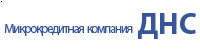 Логотип днс финанс